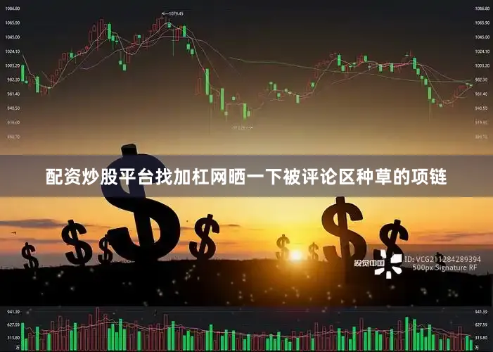 配资炒股平台找加杠网晒一下被评论区种草的项链