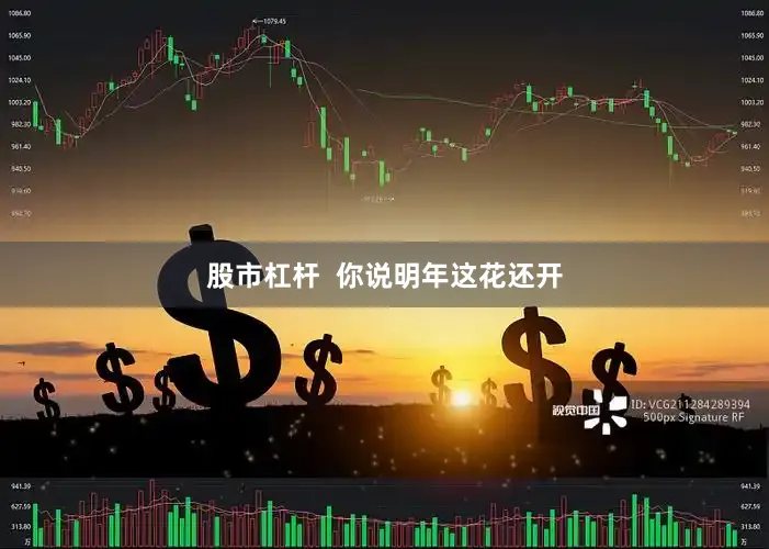 股市杠杆  你说明年这花还开