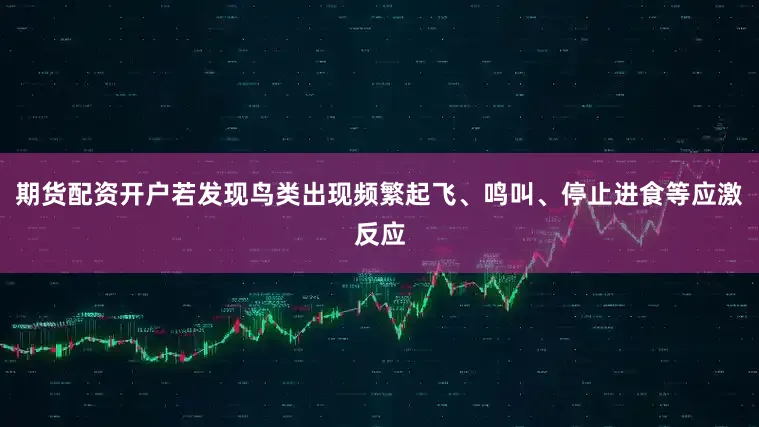 期货配资开户若发现鸟类出现频繁起飞、鸣叫、停止进食等应激反应