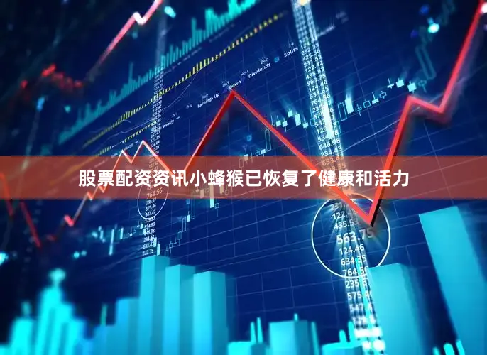 股票配资资讯小蜂猴已恢复了健康和活力