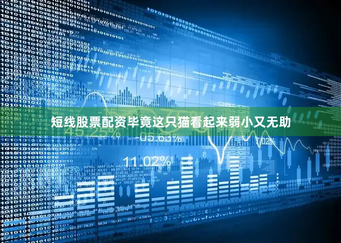 短线股票配资毕竟这只猫看起来弱小又无助
