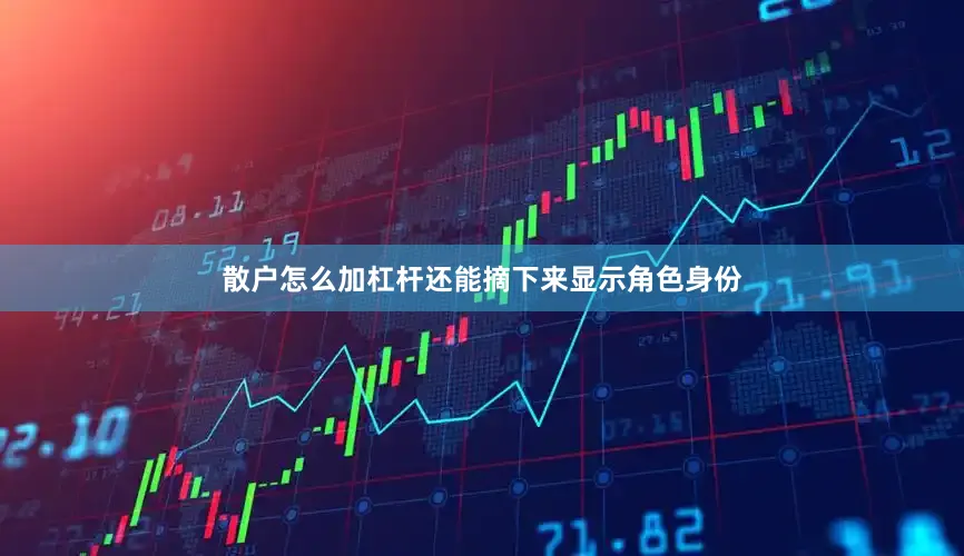 散户怎么加杠杆还能摘下来显示角色身份